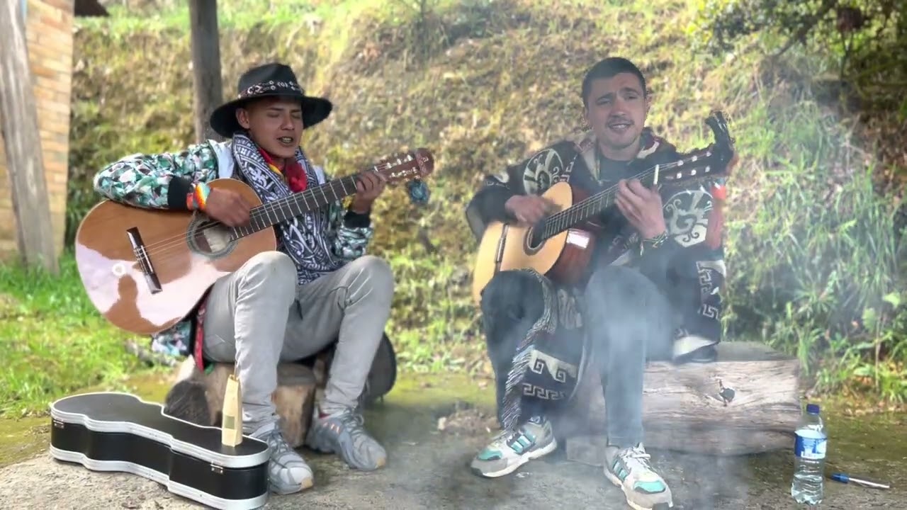 Yagecero Curandero