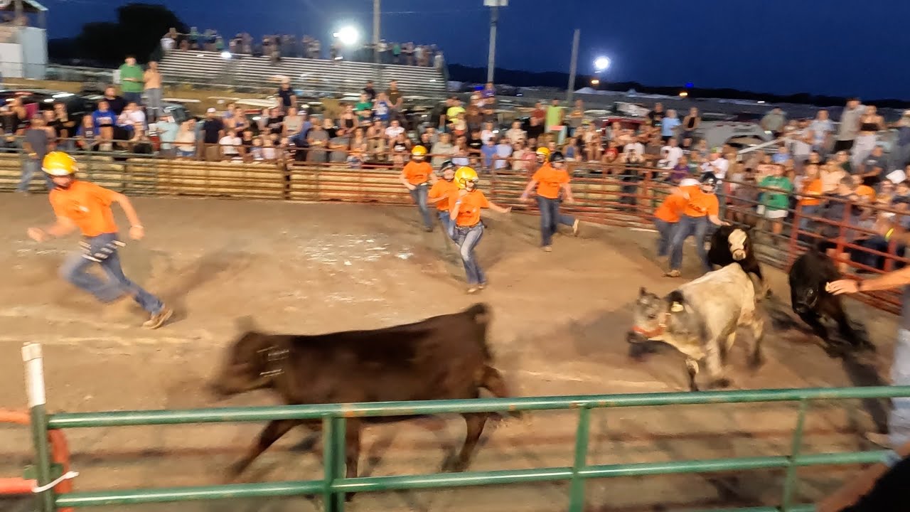 2025-08-05 Calf Scramble in Ross County Junior Fair Night