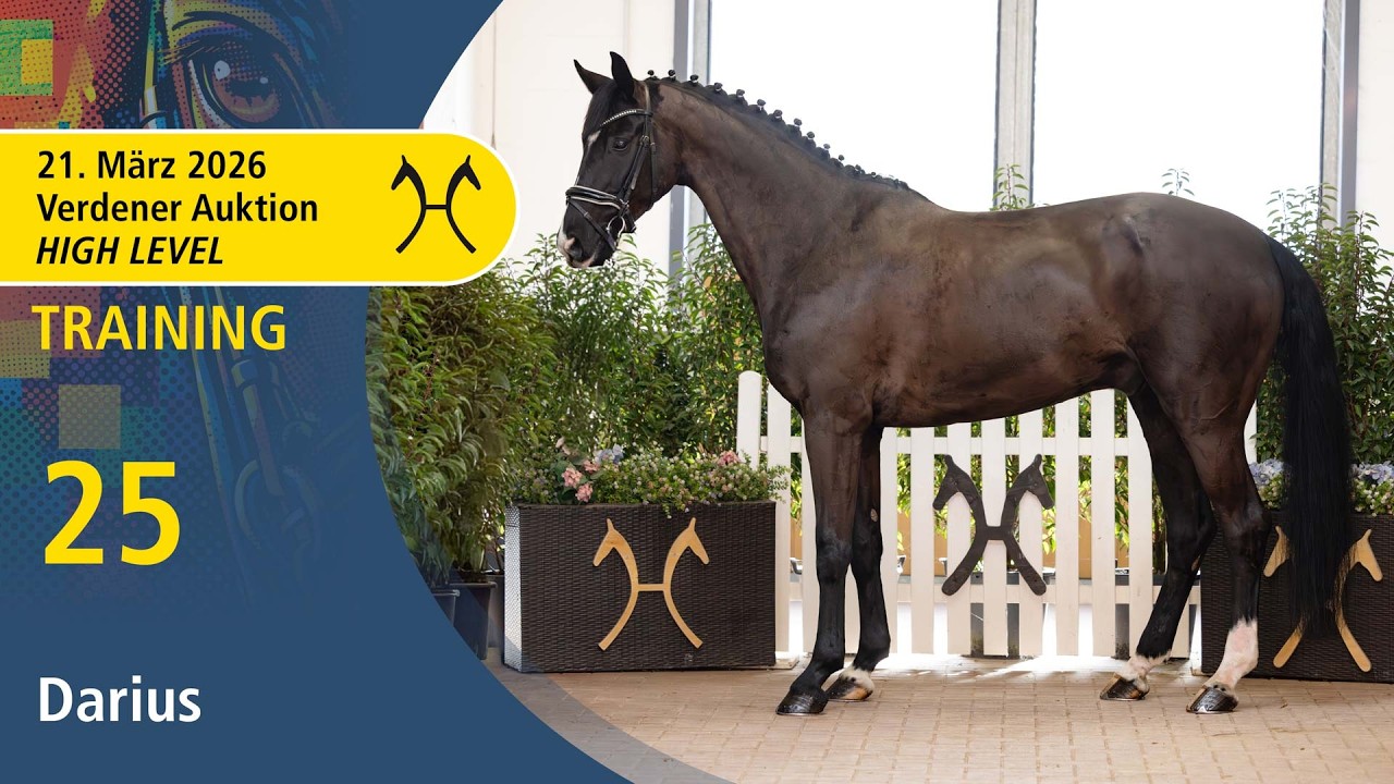 No.  25 Darius by De Niro - Count Up | High Level Auction - OnLive - March, 21th
