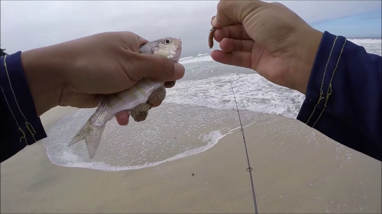 ULTRALIGHT Micro Surf Fishing Surprise! LRF
