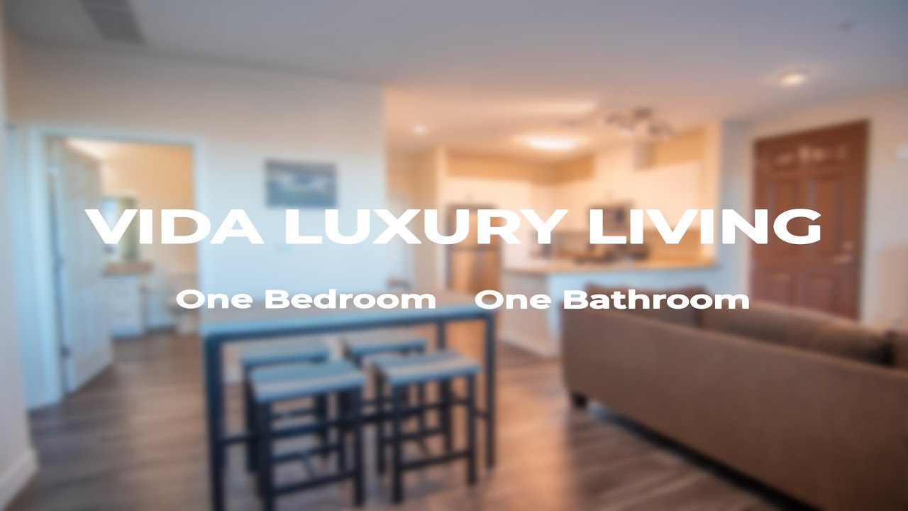 Vida Luxury Living One Bedroom Apartment - Reno, Nevada