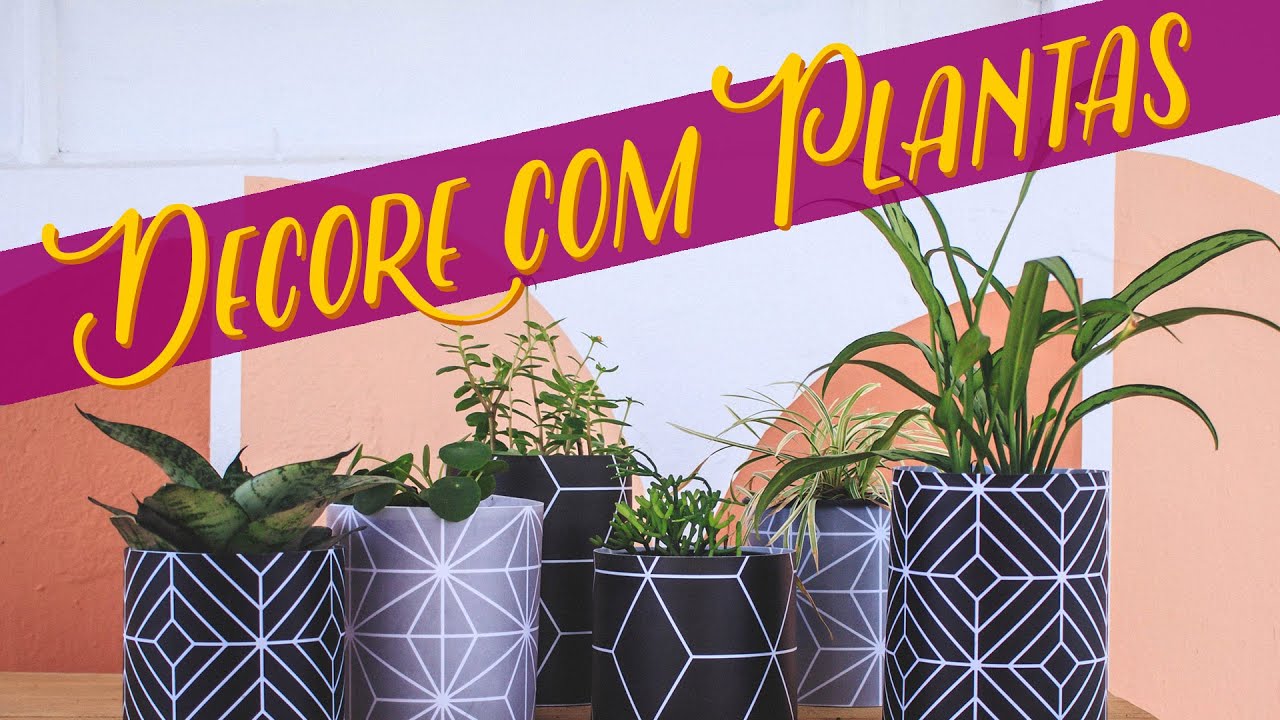 10 dicas pra quem quer decorar a casa com plantas - A 9ª vai fazer vocês economizarem muito!