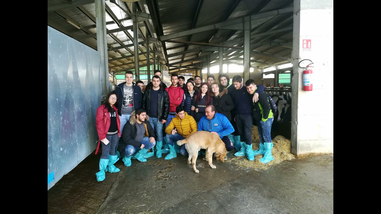 Visita didattica presso l'azienda zootecnica ALLEVAMENTO MARTIN
