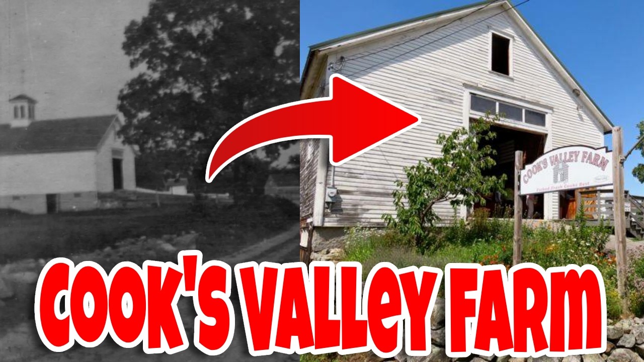 Welcome To Cook's Valley Farm!