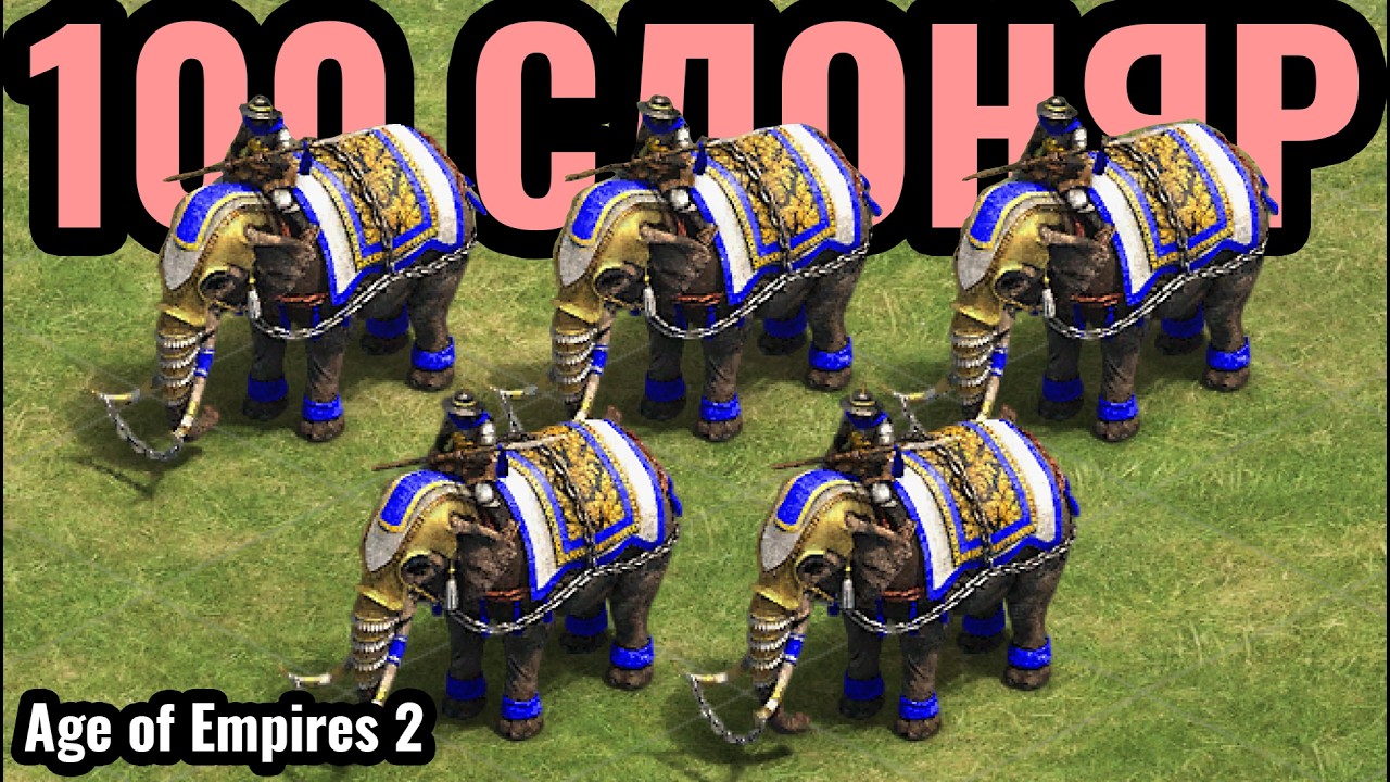 ТУПО 100 СЛОНОВ НЕПОБЕДИМЫ в Age of Empires 2