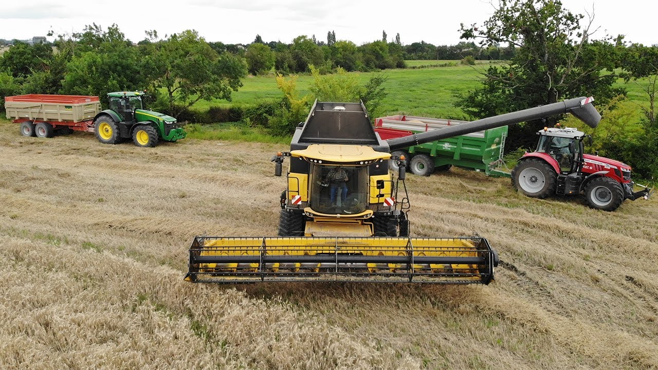 Harvest 2021! I New Holland Cr 8.90 / MF 7719S & Coutand / JD 8270r & Leboulch I