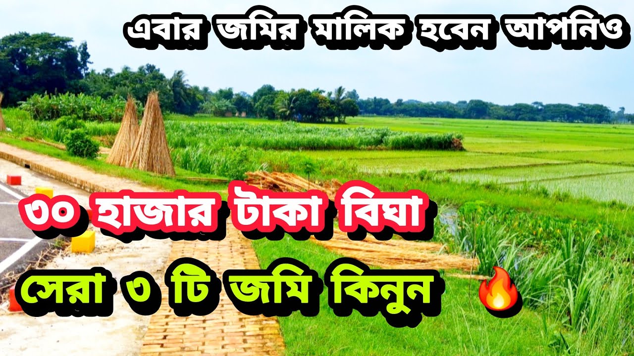 মাত্র ৩০ হাজার টাকায় সেরা ৩ টি জমি কিনুন অল্প দামে 