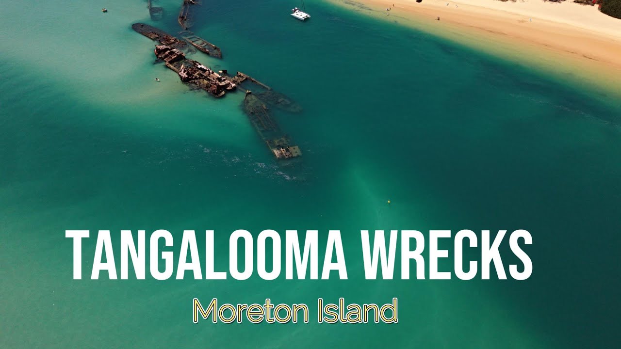 Tangalooma Wrecks - Moreton Island