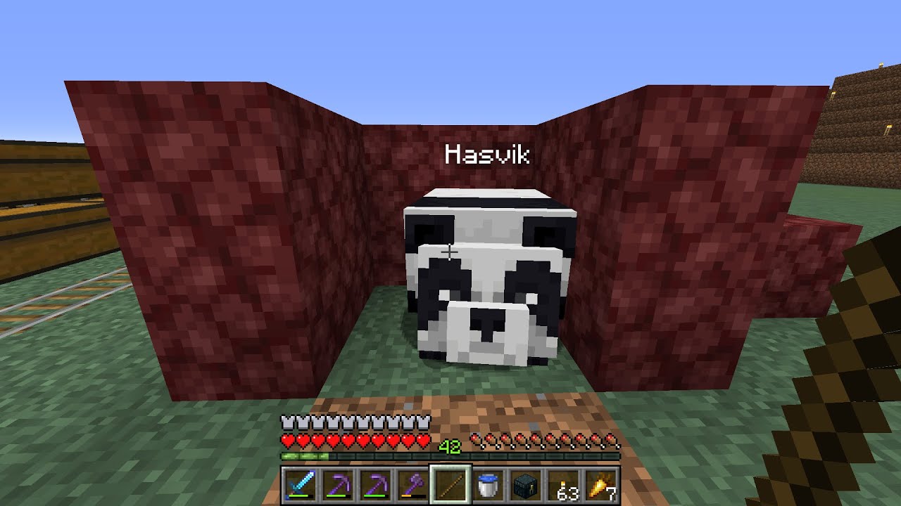AL FIN CONSIGO A HASVIK EN ELITECRAFT 2