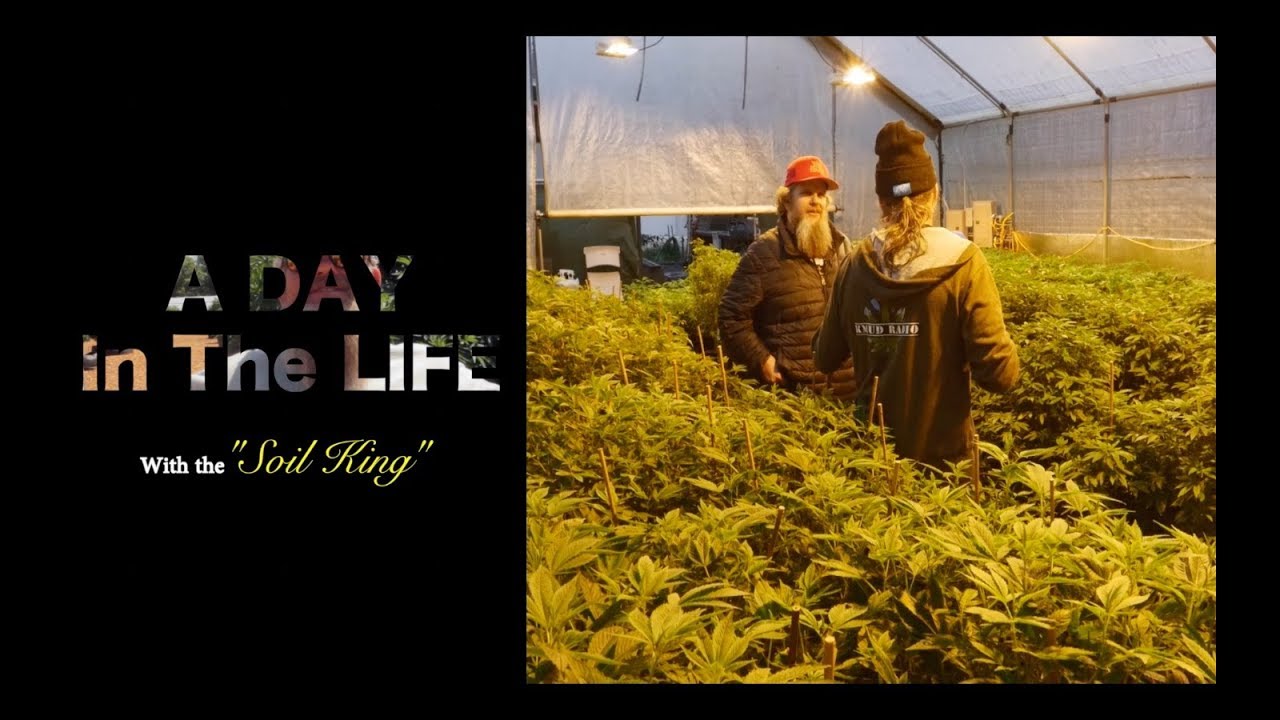 A Day In The Life with 