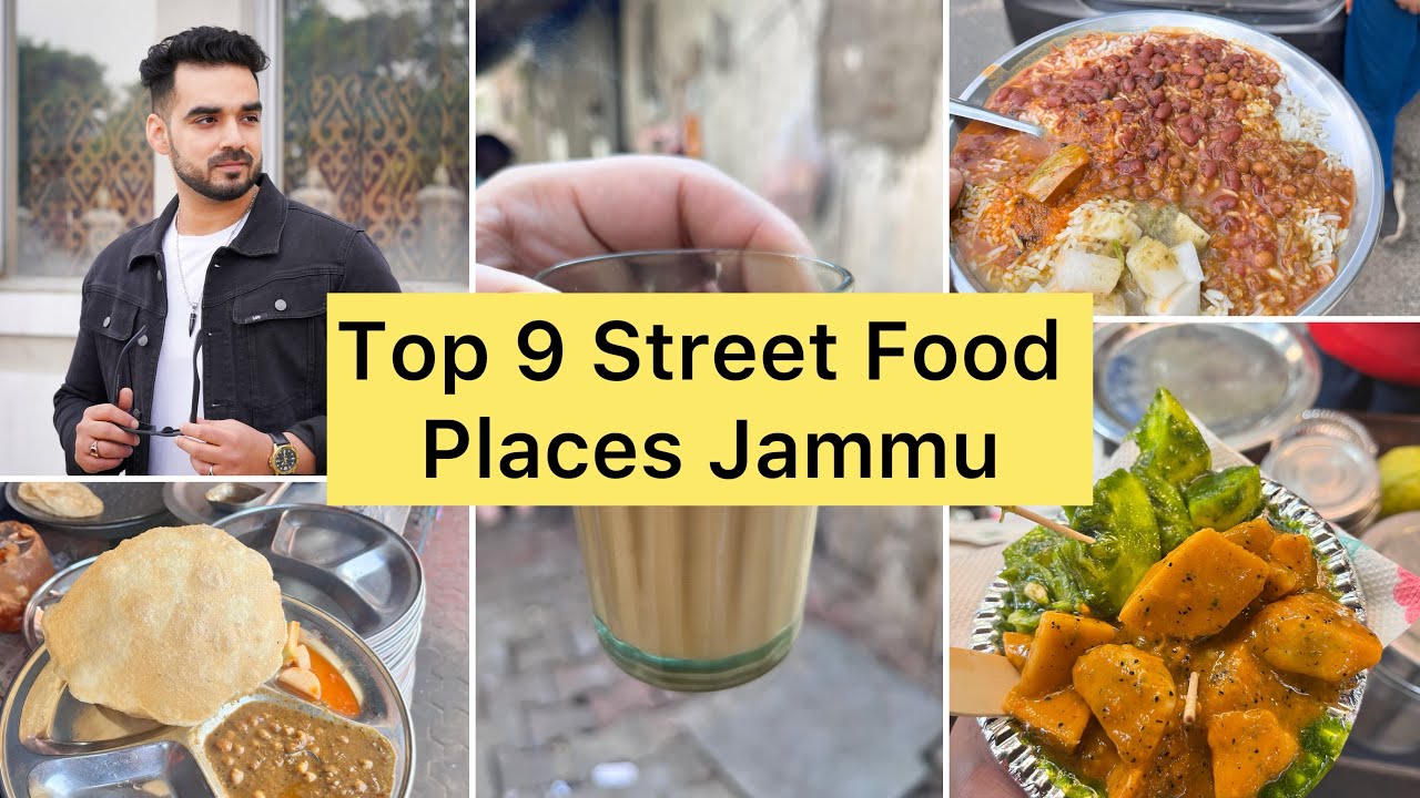 Top 9 Famous Food Places In Jammu India | Jammu Street Food | Shiva Soule #jammu #streetfood