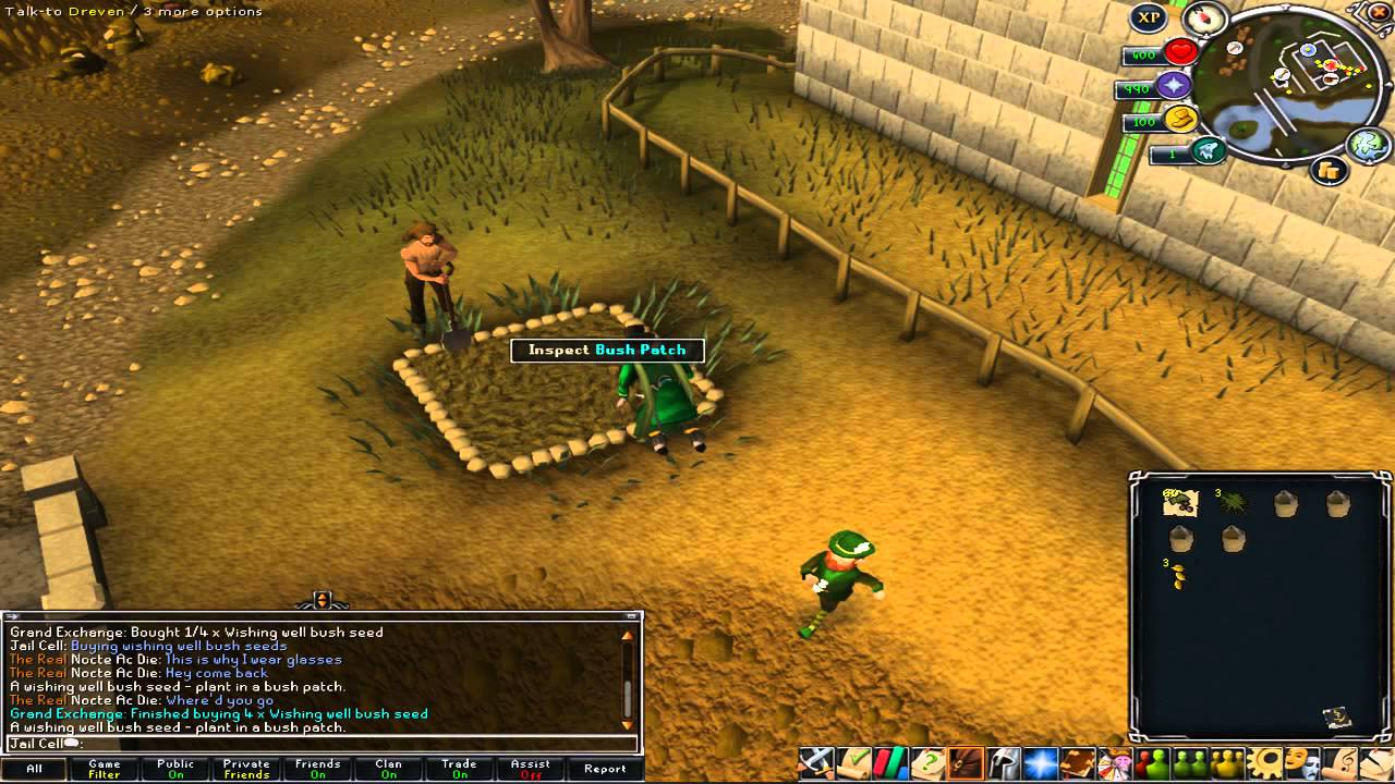 RuneScape Planting Wishing well Seed (Bush - Level 96 Farming) 