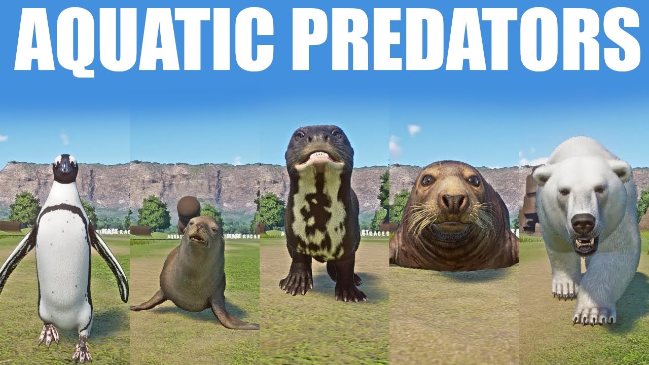 Гонки на скорость среди водных хищников в зоопарке Planet Zoo включают пингвинов, морских львов, ...
