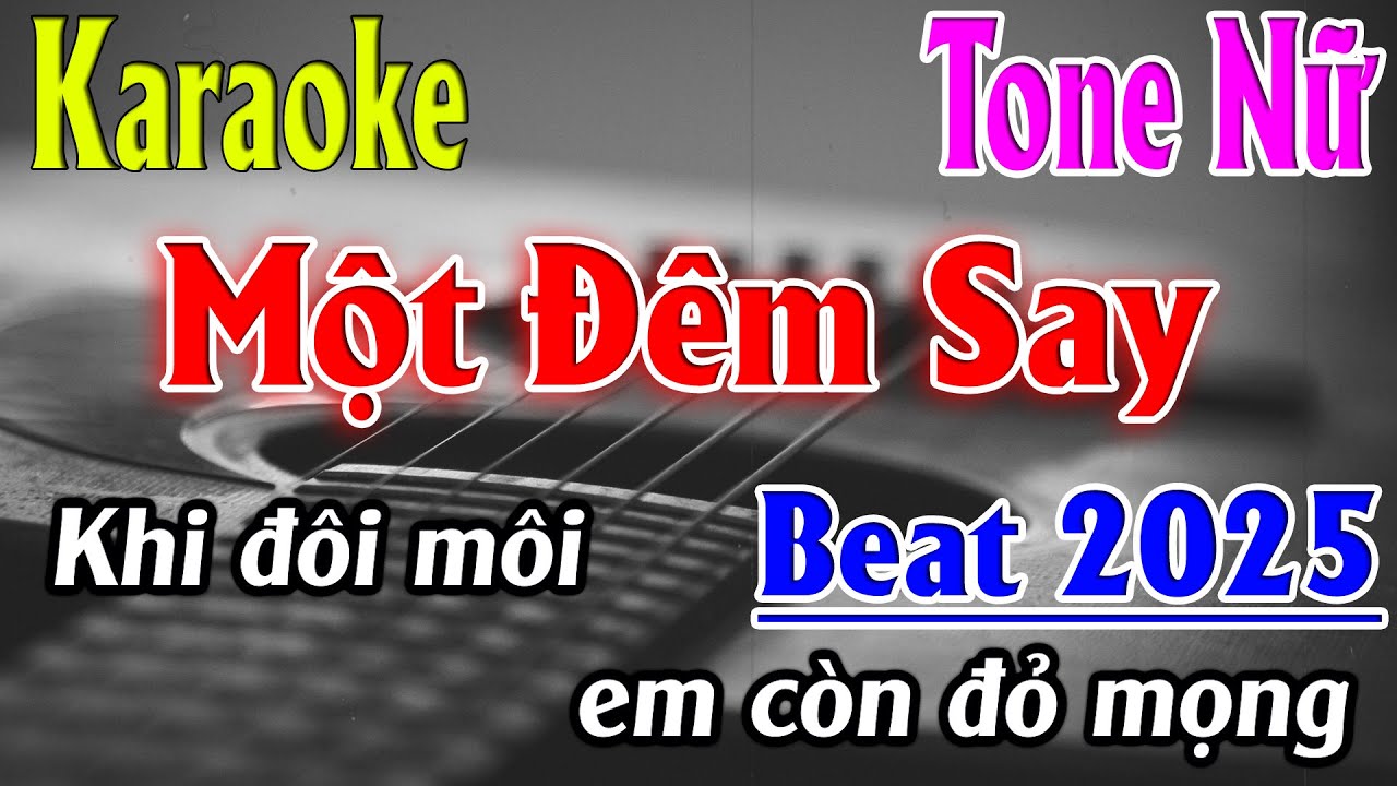 Một Đêm Say Karaoke Tone Nữ ( D ) Karaoke Lâm Organ