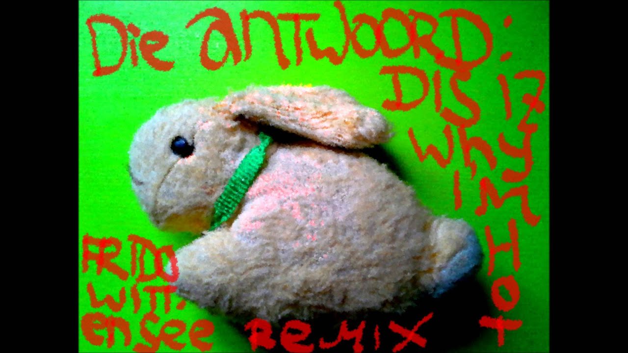 Die Antwoord - Dis iz why I'm Hot (Frido Wittensee Remix)