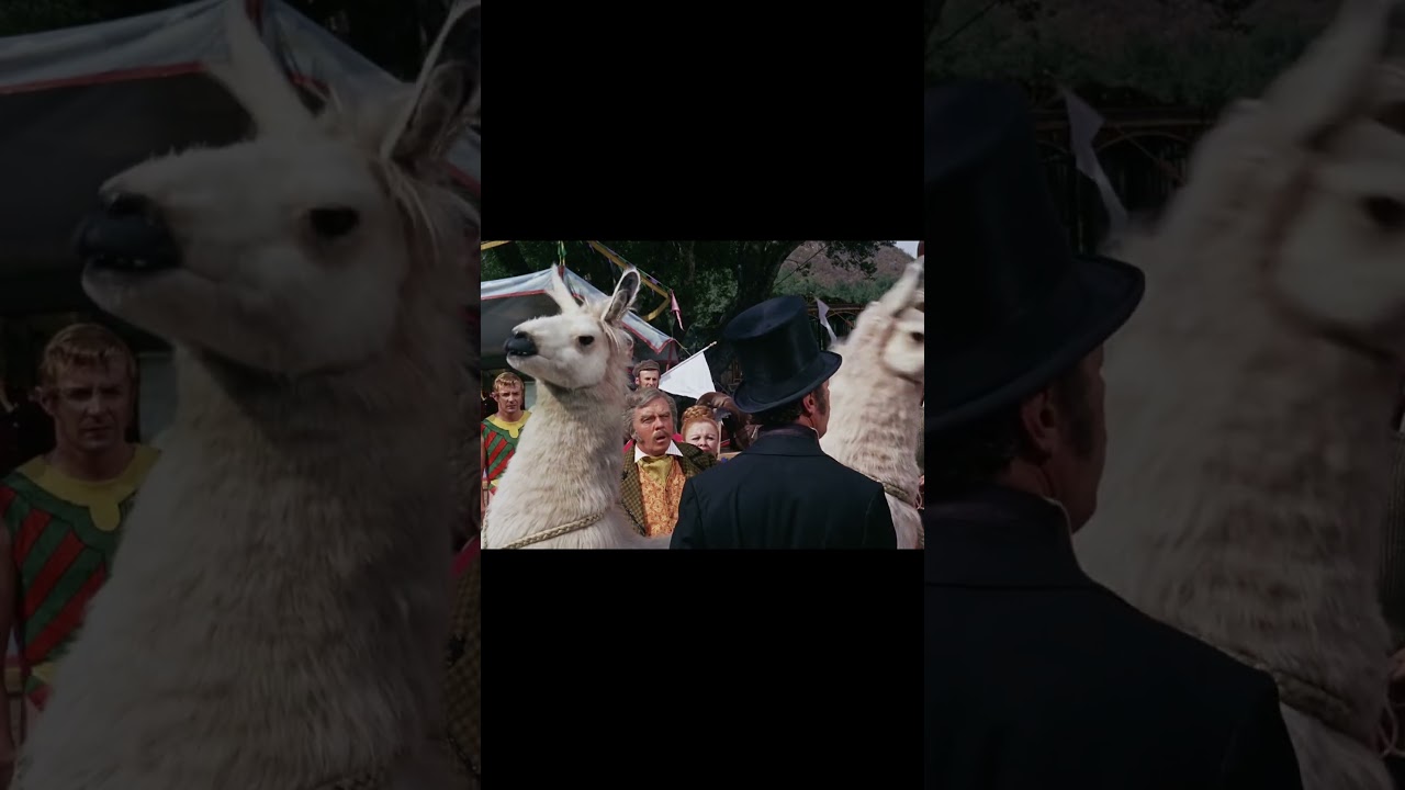Getting Approval from the Animals [Doctor Dolittle 1967]