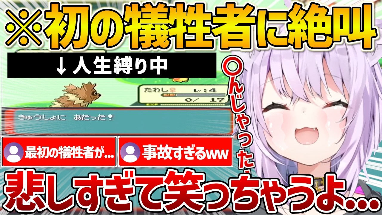 ポケモン人生縛りで初の犠牲者が出てしまい絶叫するおかゆん【ホロライブ/猫又おかゆ/Vtuber/切り抜き】