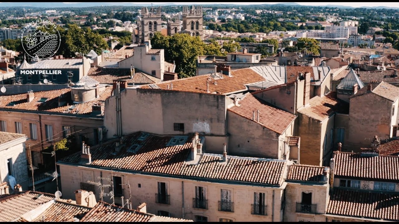 Paris je te quitte ... pour Montpellier.