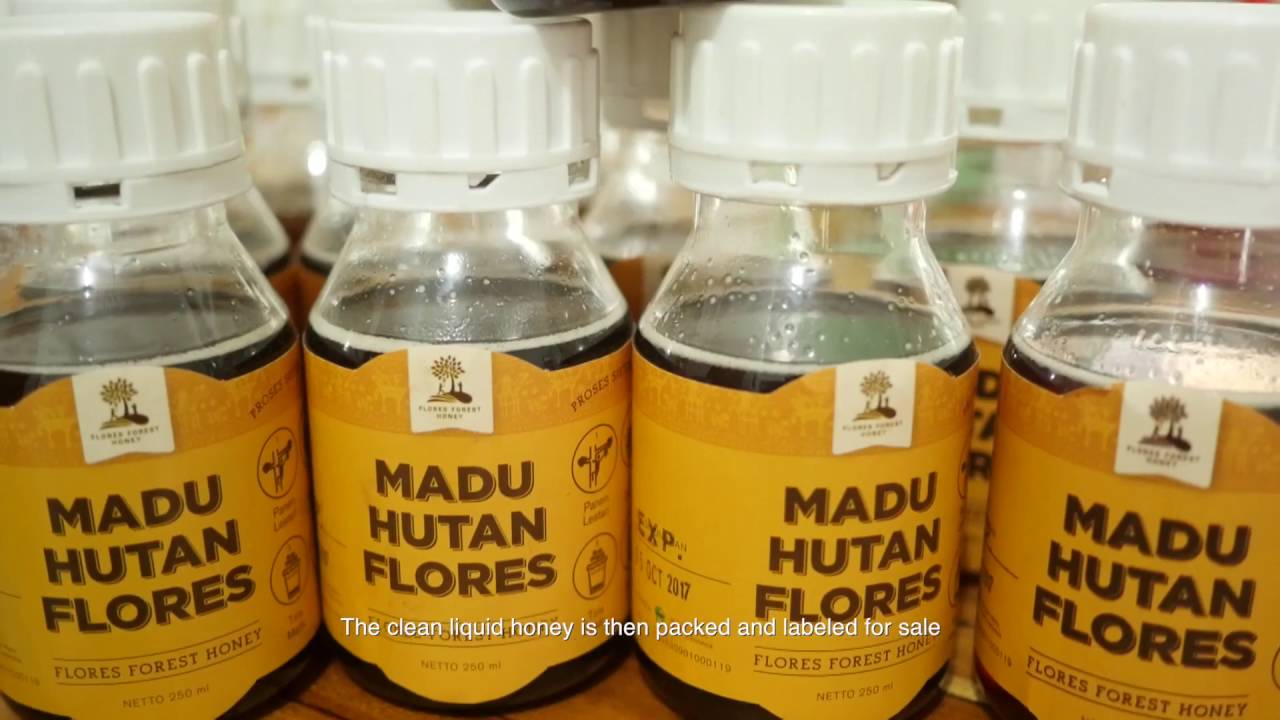 The Making of Florest Forest Honey