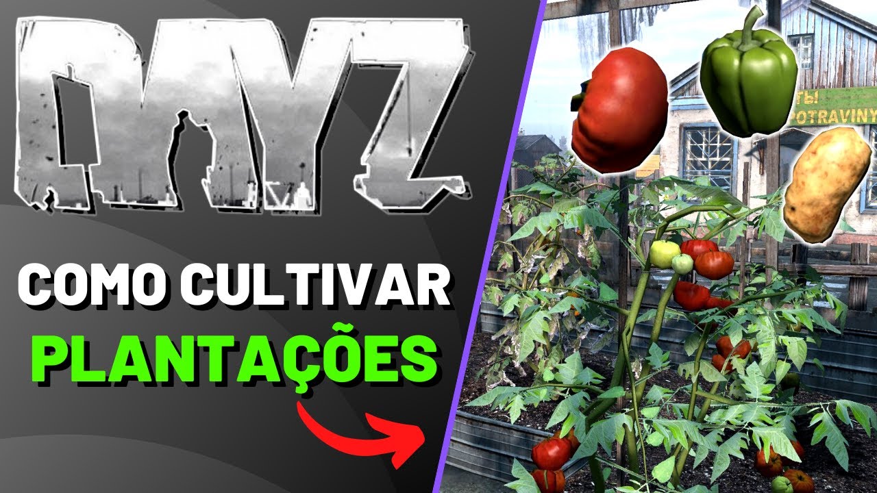 COMO CULTIVAR PLANTAÇÕES DE LEGUMES NO DAYZ