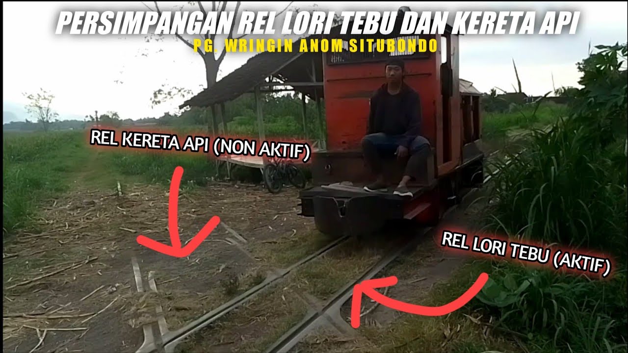 PERSIMPANGAN JALUR LORI TEBU DAN KERETA API KALISAT-PANARUKAN