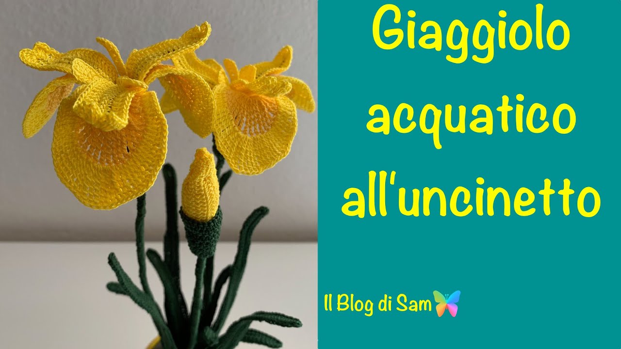 Spiegazione del Giaggiolo Acquatico all'uncinetto