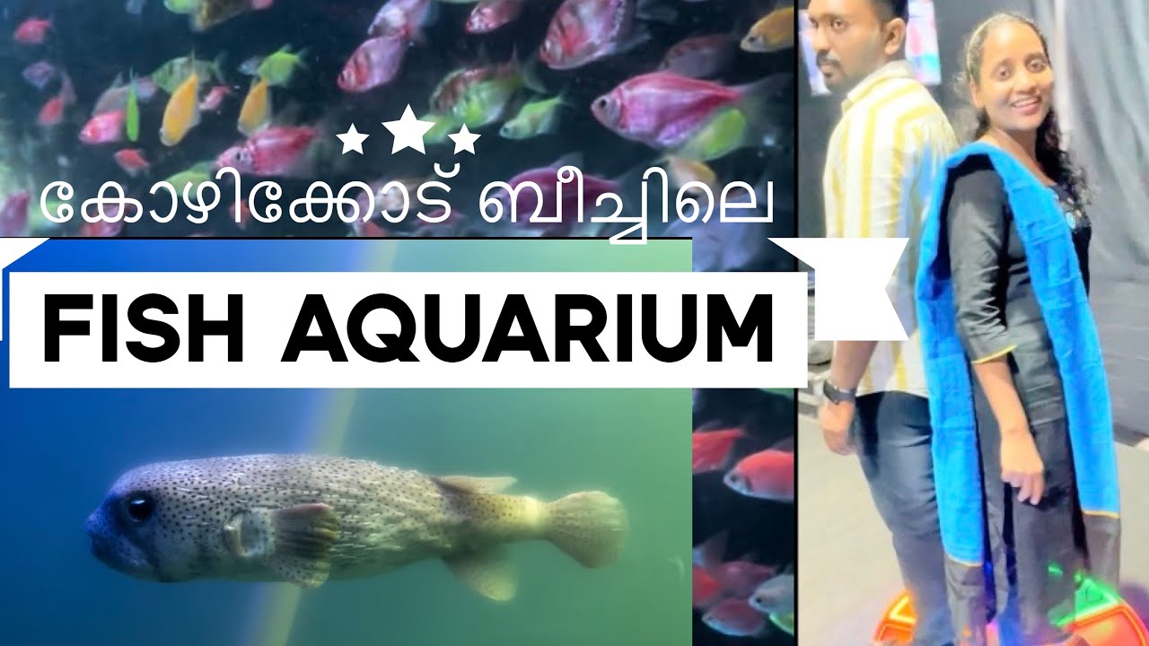 കോഴിക്കോട്  Beach Expo ലെ Fish Aquarium കണ്ടാലോ🐠🐟