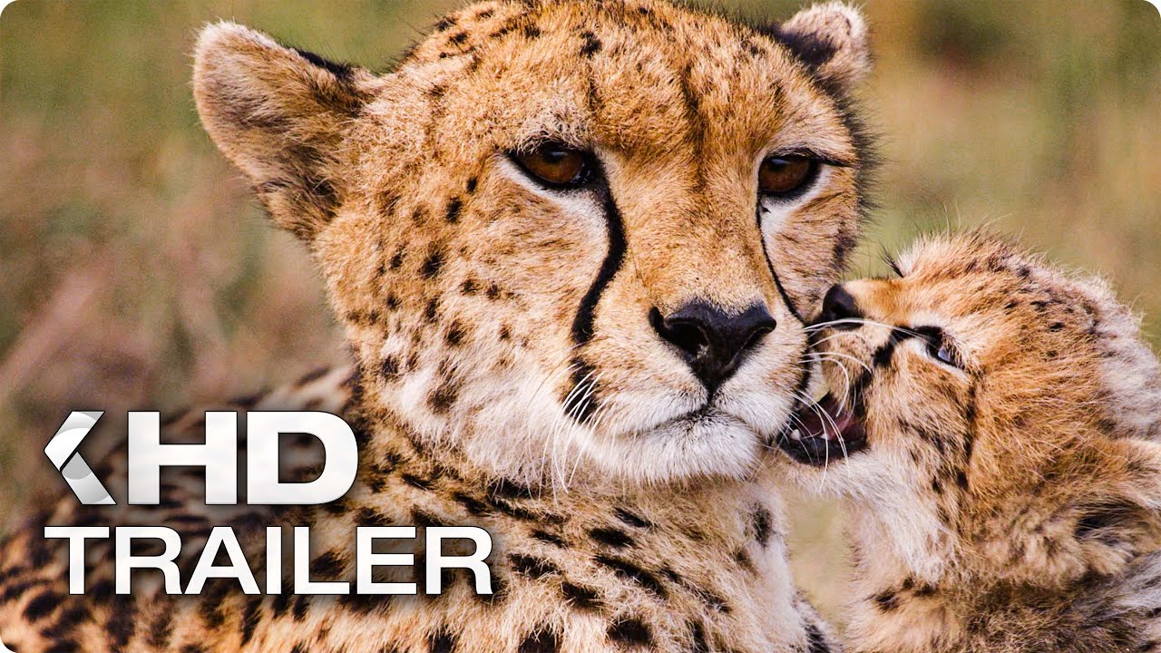 MALEIKA Trailer German Deutsch (2017)