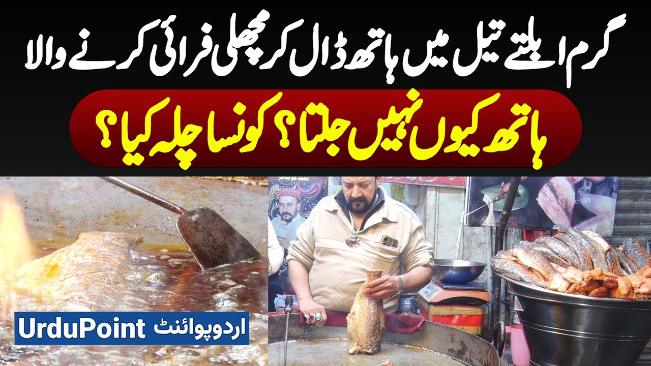 Lahore: Man Fries Fish By Dipping His Hand In Boiling Oil - What's Secret To His Hand Not Burning?