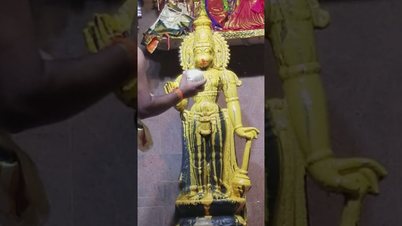 Hanuman abhishekam