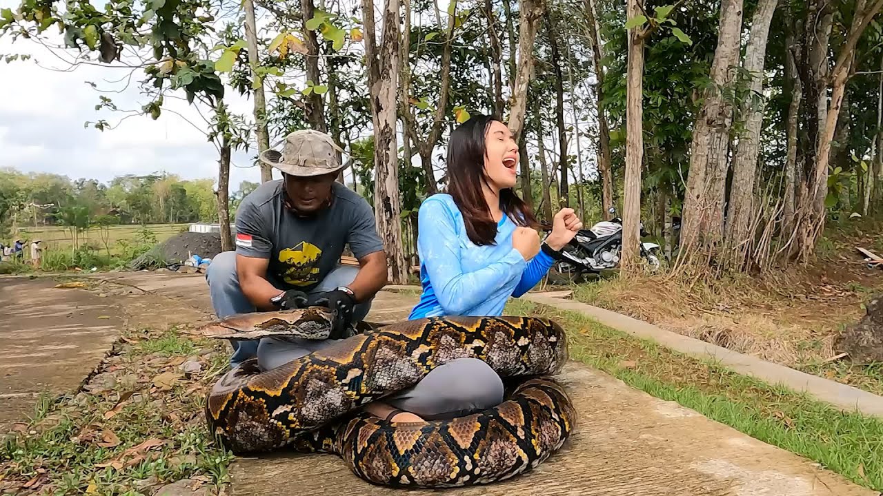 Jodilee Ketakutan Waktu Mandiin Ular Phyton MONSTER ! Ada Yang Mau Bantu ??
