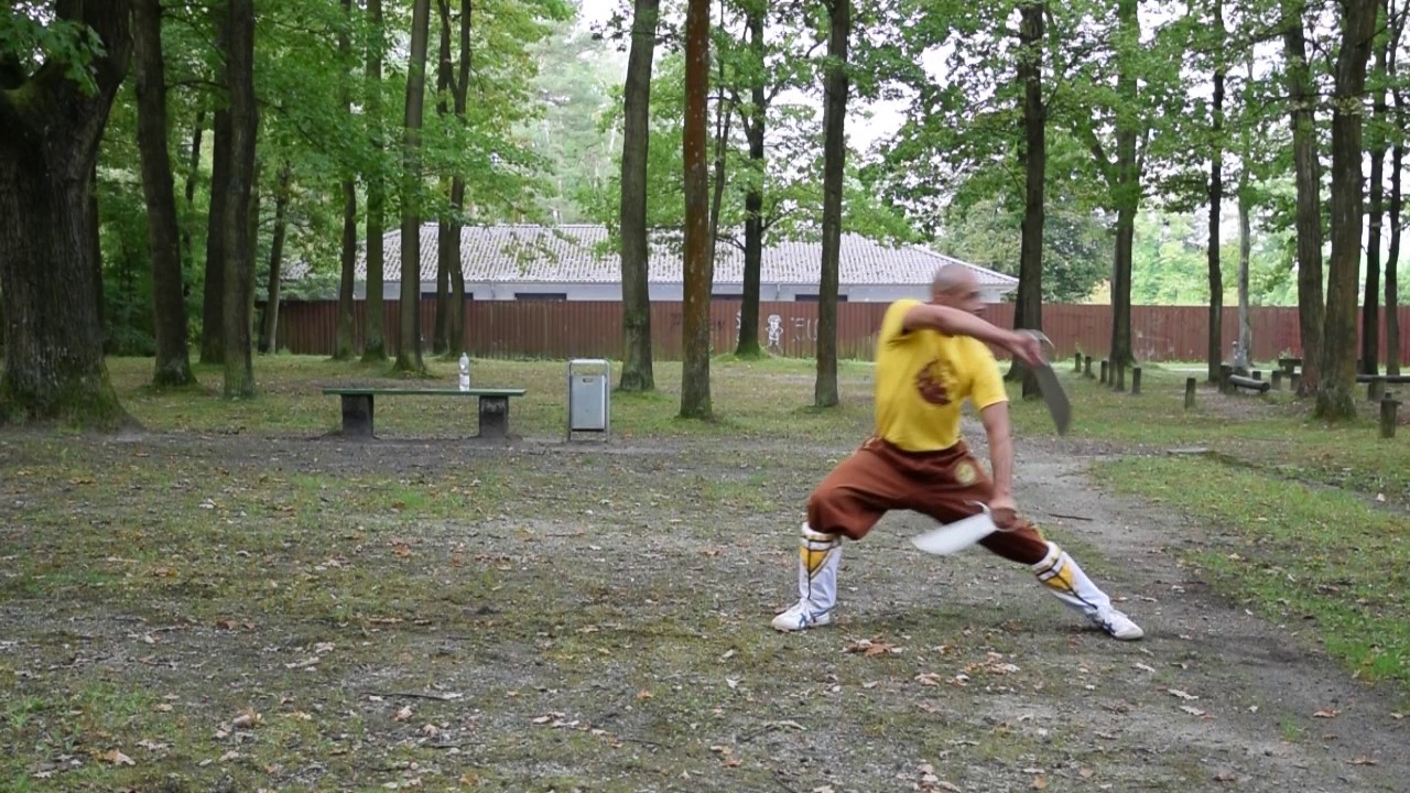 Weng Chun Wu Dip Do - The Butterfly Knifes