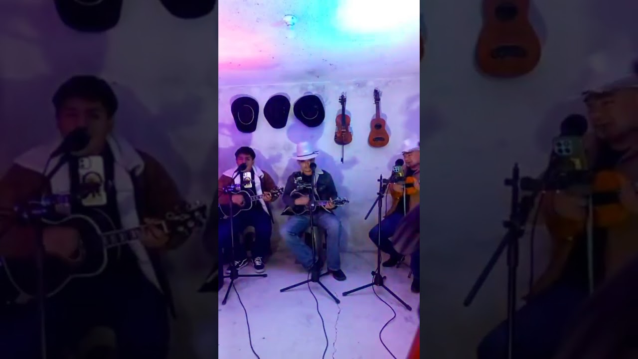 Son Huasteco el Caballito