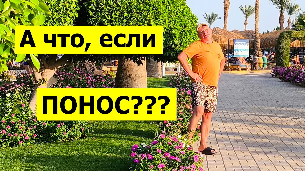 ЧТО СИЛЬНЕЕ? Понос или бибиканье в Египте?