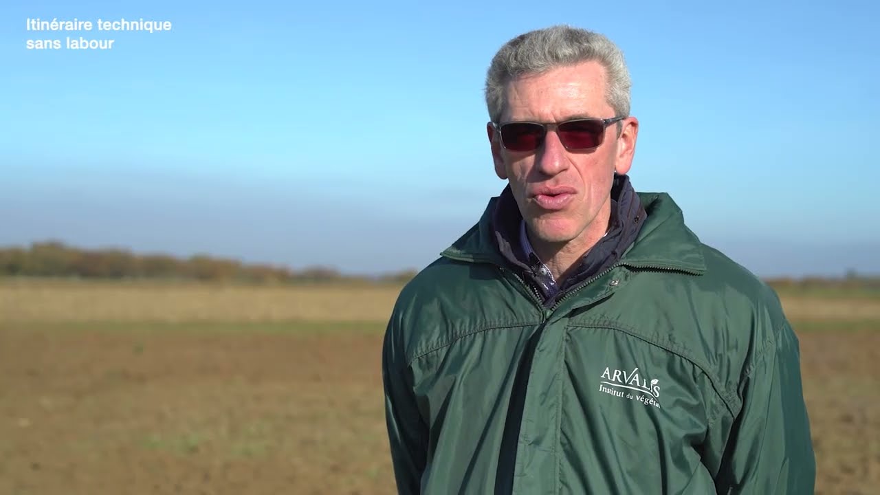 Glyphosate : les techniques alternatives pour gérer les adventices en grandes cultures - ARVALIS.fr