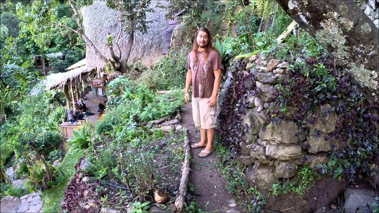 Permaculture Tip of the Day - Terrace Gardens