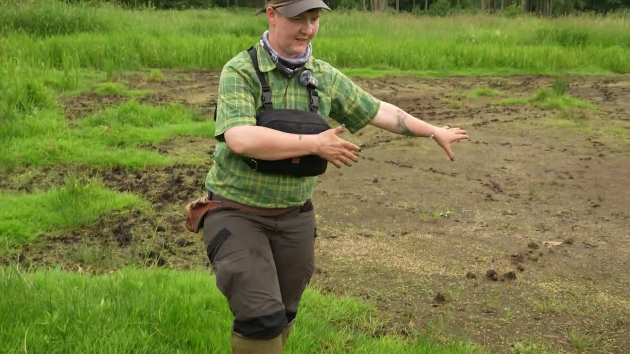 Lehrvideoreihe Grundlagen der Moorökologie: Moortypen (2/4)