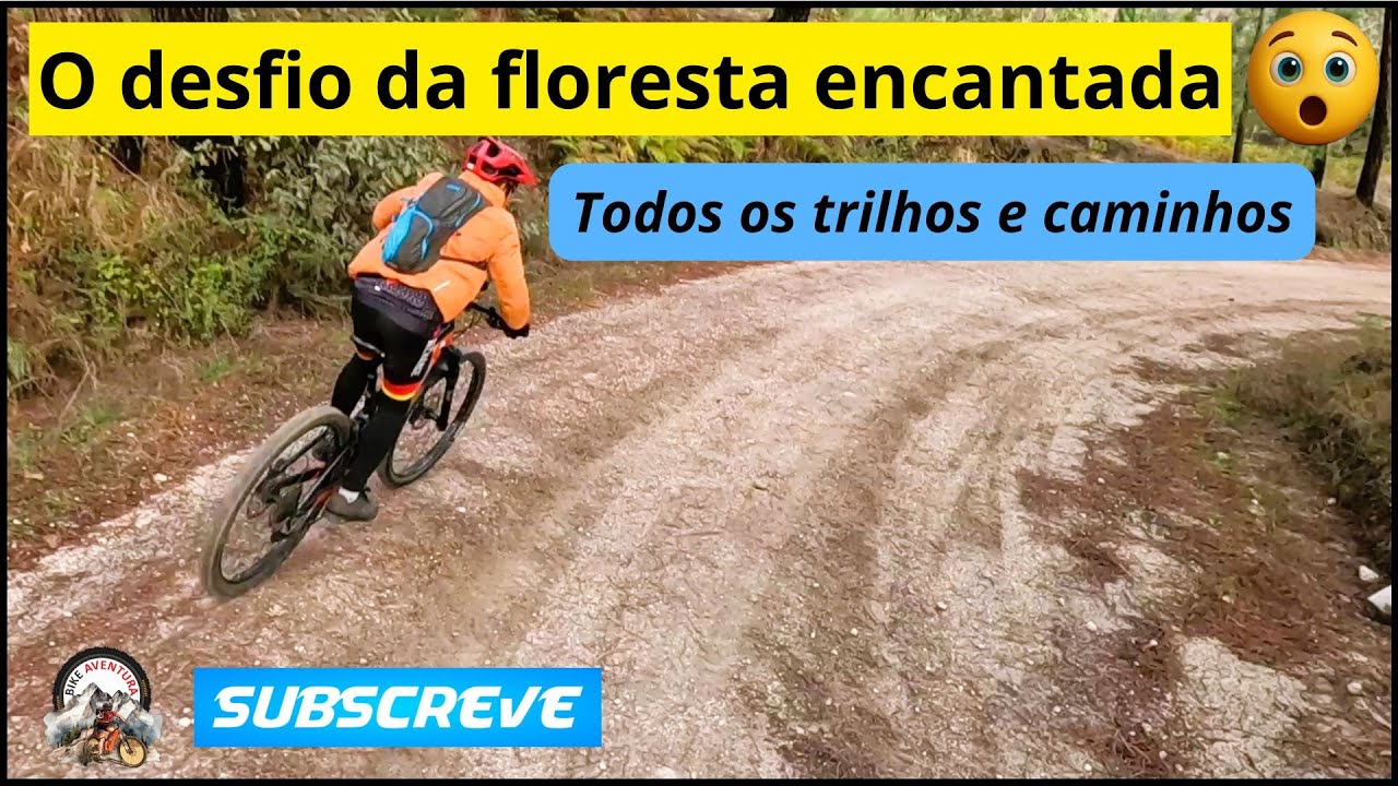 Os trilhos da floresta encantada