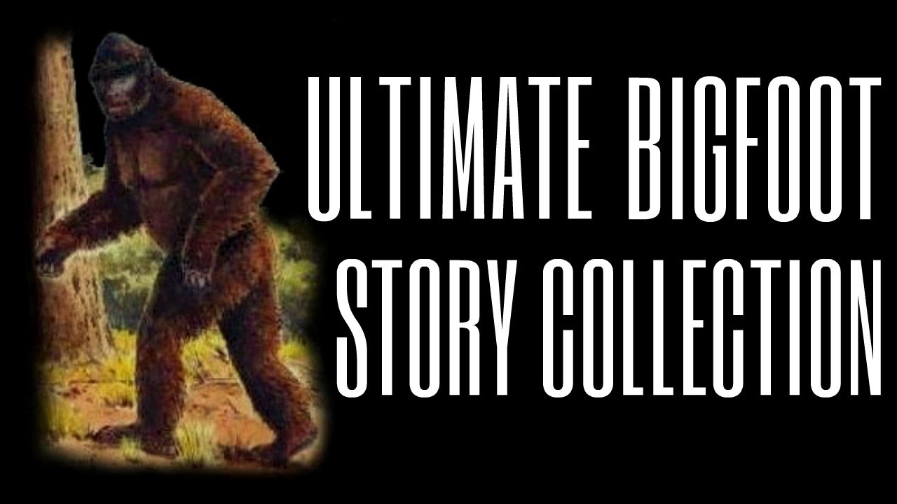 Ultimate Scary Bigfoot Encounters Story Compilation!