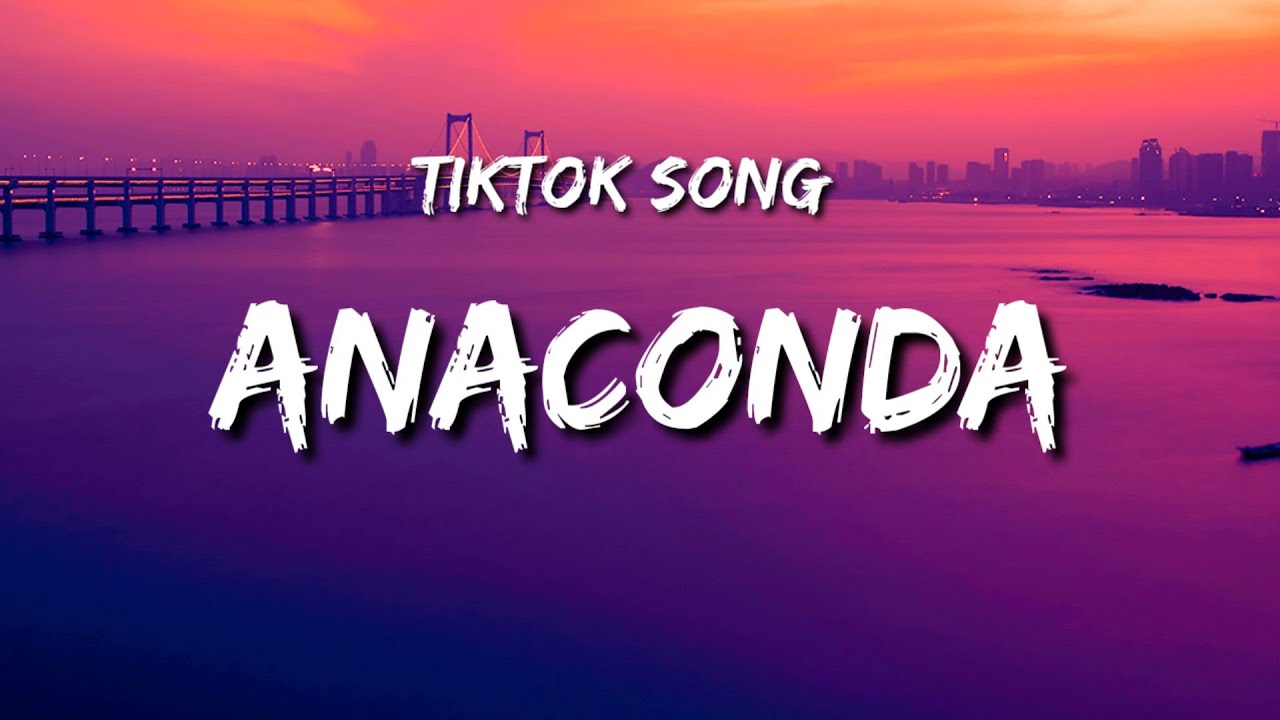 Nicki Minaj - Anaconda | Lyrics I got a big fat ass | [TikTok Song]