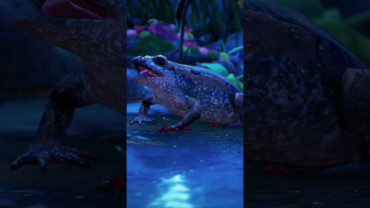 Narrow-Mouthed Toad  #ants #amphibians #frogs #strategy #gaming
