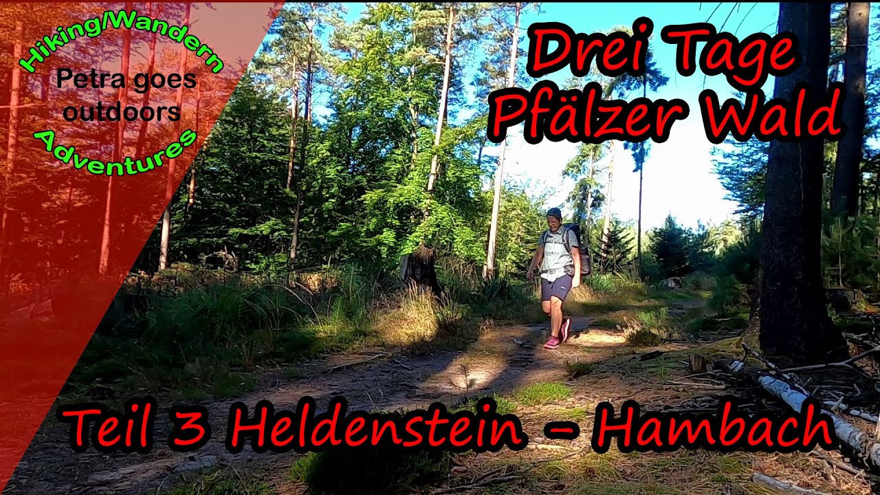 Auf schmalen Wegen zurück nach Hambach - Drei Tage im Pfälzerwald - Teil 3 - Heldenstein - Hambach