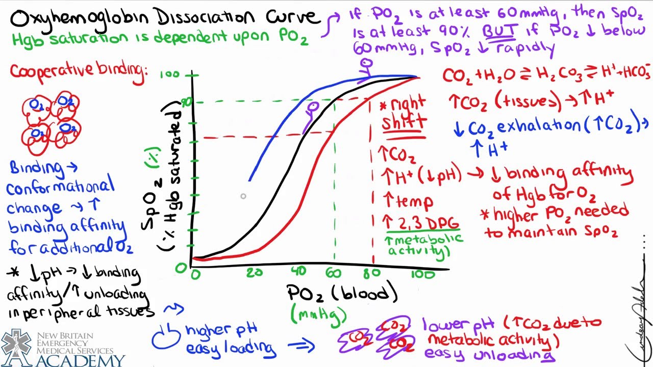 Gas Transport