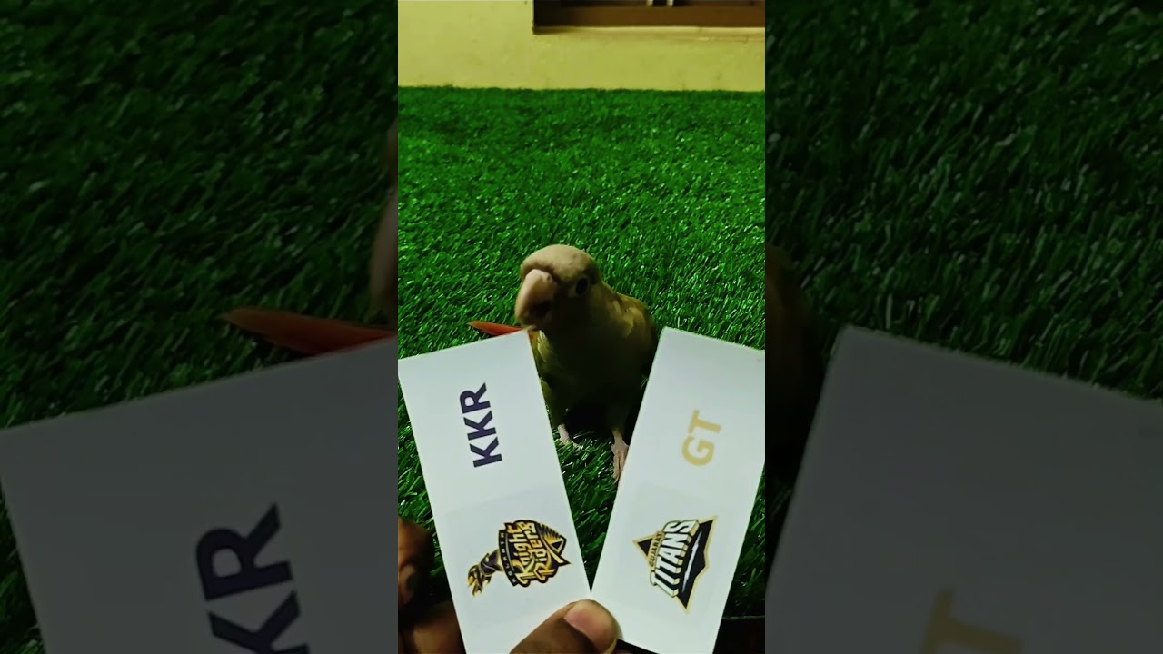 KKR vs GT 🪙 Toss Prediction | Who Will Win Today? 🤔🔥