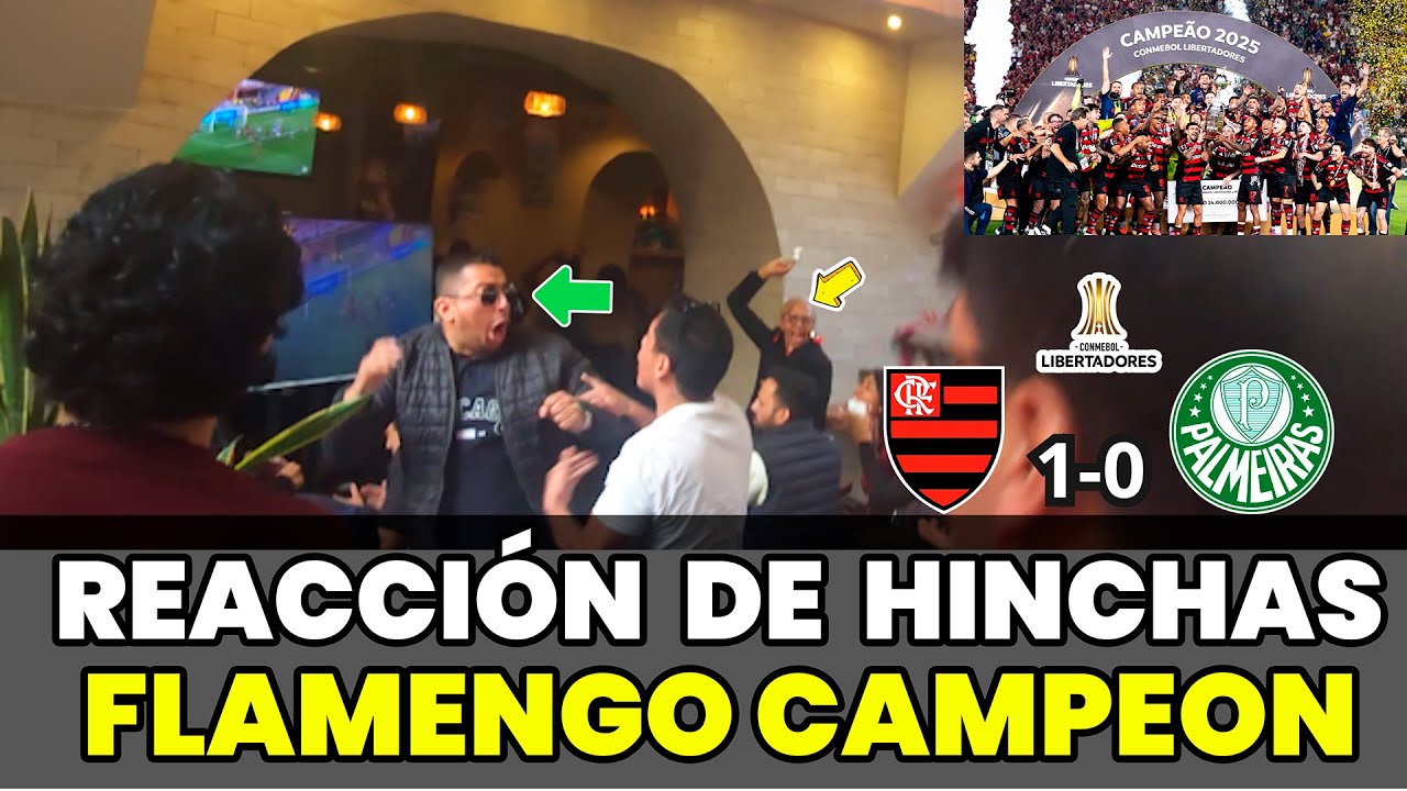 Flamengo vs Palmeiras Reaccion de hinchas peruanos | Flamengo Campeón de la Copa Libertadores 2025
