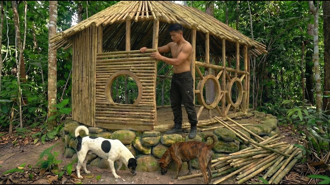 Primitive Rescuing Abandoned Dogs and Giving Them a Safe Home in Nature Build Castle Clay Dog House