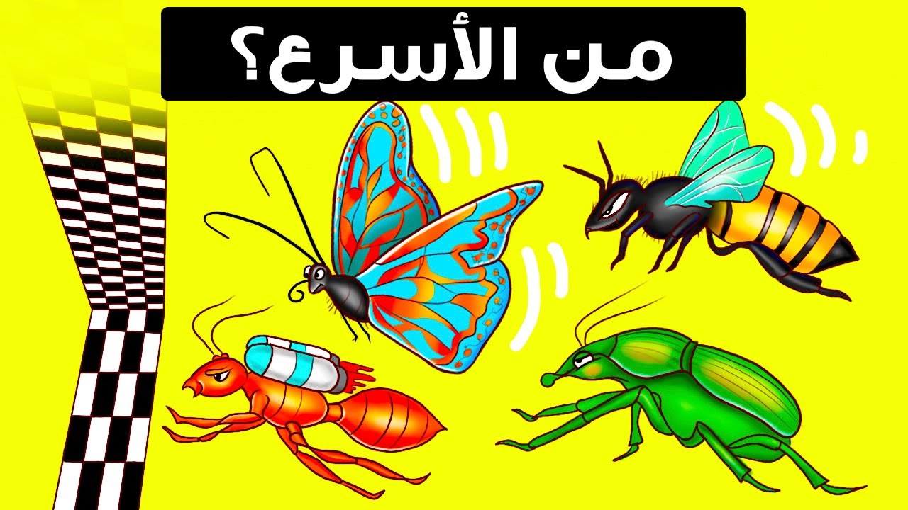 من سيربح سباق أسرع الحشرات؟ النتيجة غير متوقعة!