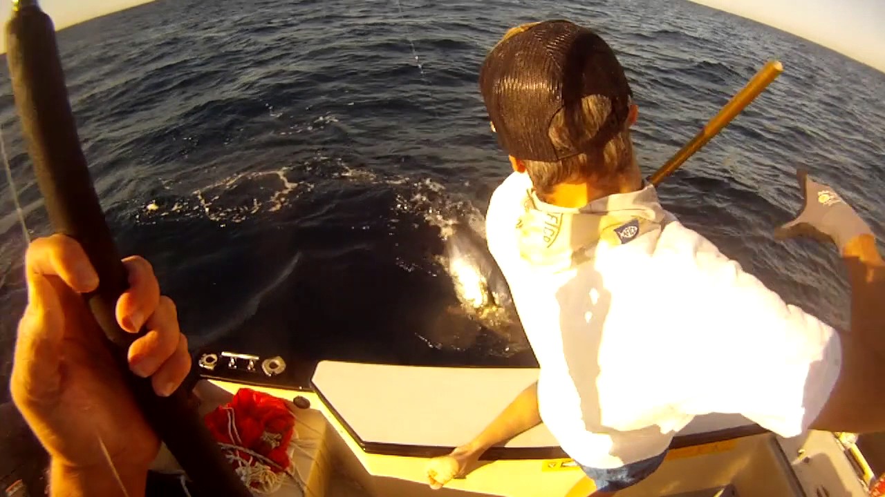 Bluefin Tuna 2016