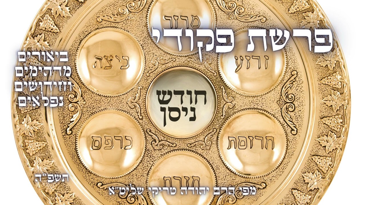 שבת החודש – ביאורים מדהימים וחידושים מפליאים לפרשת פקודי תשפ