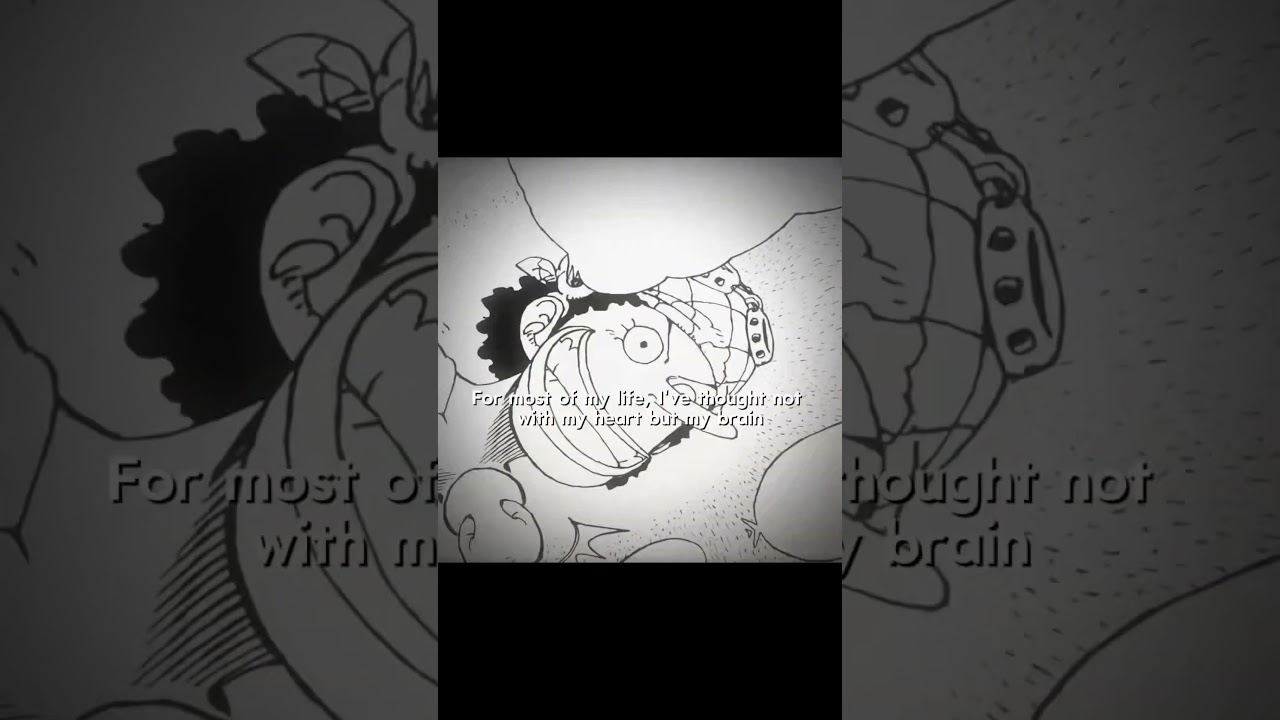 HALF BROKEN JAPANESE W MY FAV SHIP FROM ONE PIECE #xybcza #usokaya #onepiece